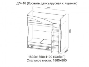 ДМ-16 Кровать двухъярусная с ящиком в Чёрмозе - chyormoz.magazin-mebel74.ru | фото