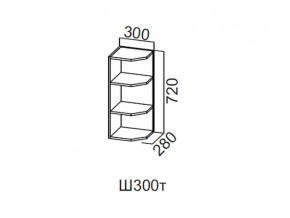 Ш300т/720 Шкаф навесной 300/720 (торцевой) в Чёрмозе - chyormoz.magazin-mebel74.ru | фото