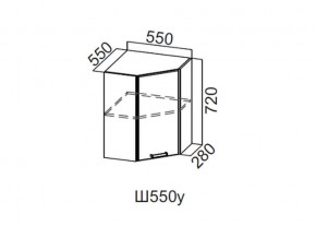 Ш550у/720 Шкаф навесной 550/720 (угловой) в Чёрмозе - chyormoz.magazin-mebel74.ru | фото