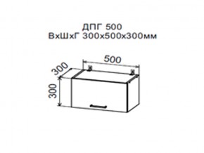 Шкаф верхний ДПГ500 горизонтальный в Чёрмозе - chyormoz.magazin-mebel74.ru | фото