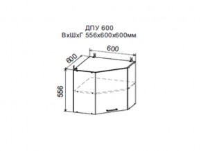Шкаф верхний ДПУ600 угловой в Чёрмозе - chyormoz.magazin-mebel74.ru | фото